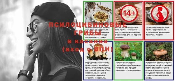 дживик Алексин