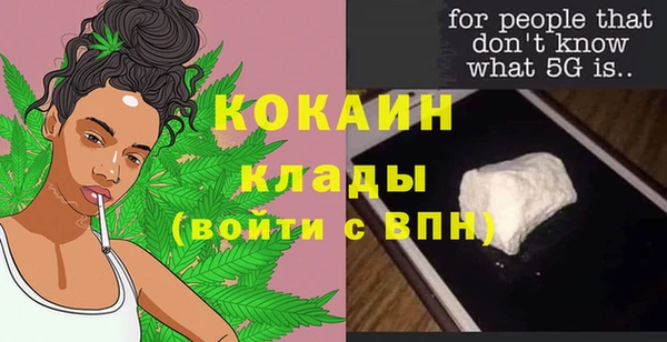 дживик Алексин