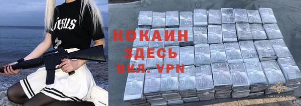 дживик Алексин