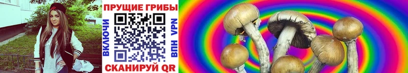 мега Николаевск Галлюциногенные грибы мухоморы